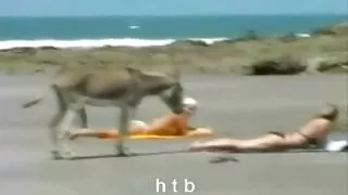 おいしいブロンドの熟女プッシーDoggystyled 一徹 動画 無料 - 2022-02-26 04:12:58