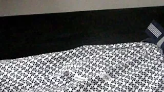 飽くなき女の子はディックを吸っています 女 が 見 たい エロ 動画 - 2022-02-22 09:04:30