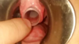 アダルト 動画 女性 の